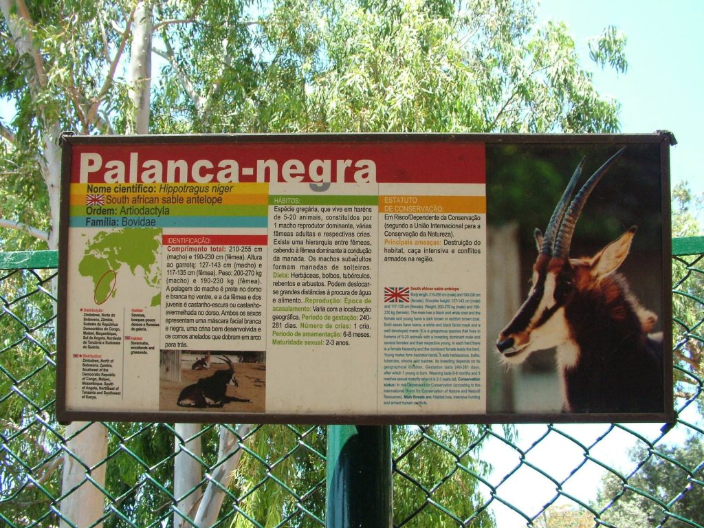 Educational sign about the South African sable antelope at Lisbon Zoo