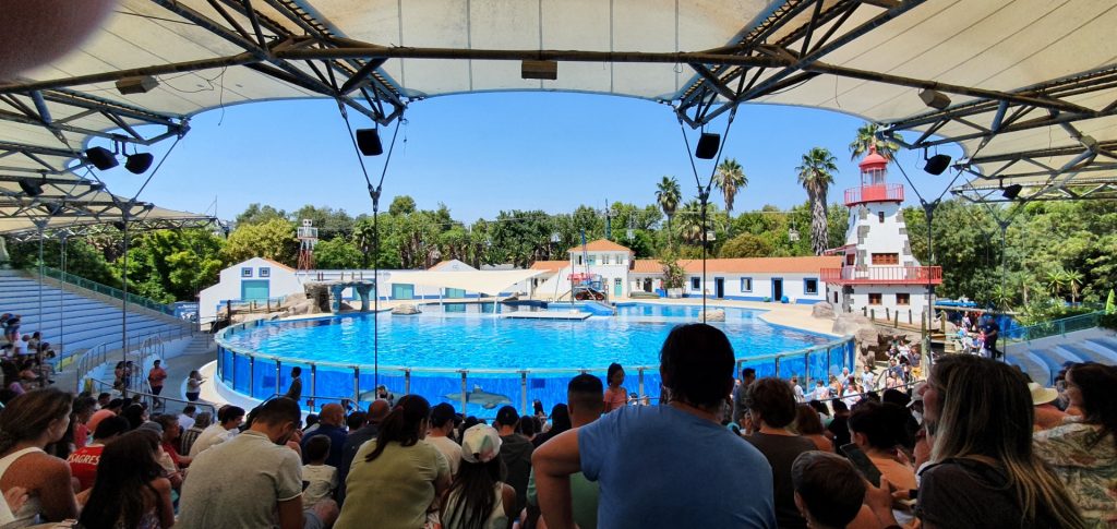 Crowds gathered at Dolphin Bay before a dolphin presentation at Lisbon Zoo