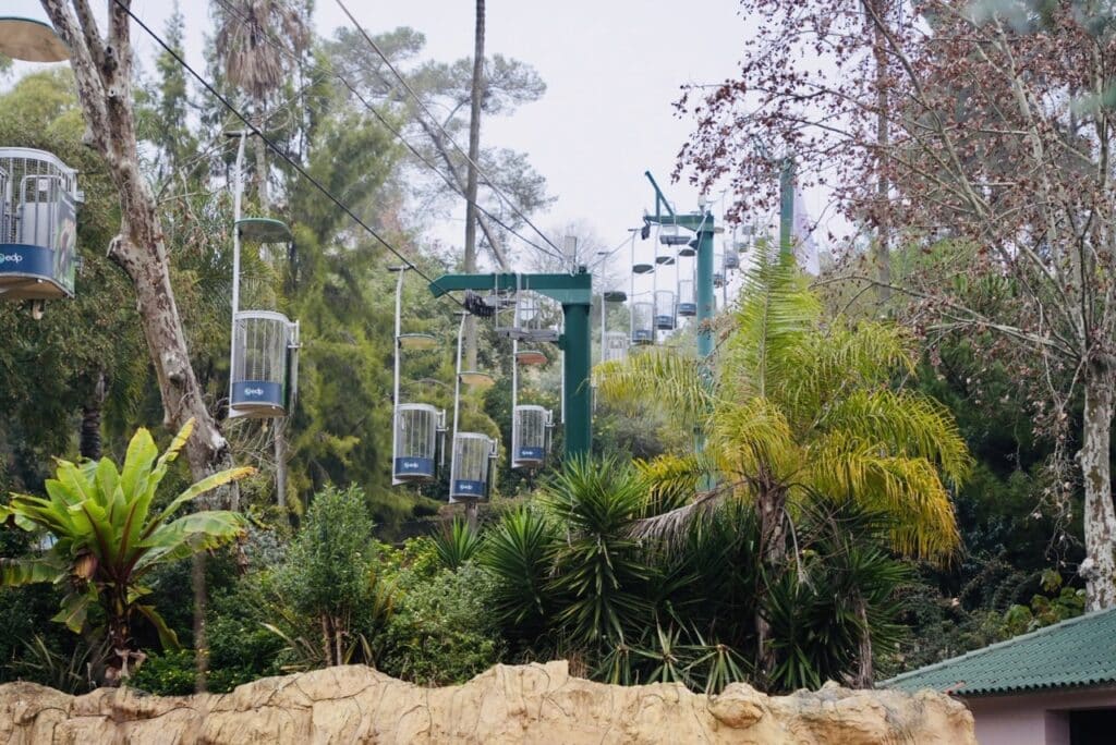 Cable car gliding above the tropical vegetation