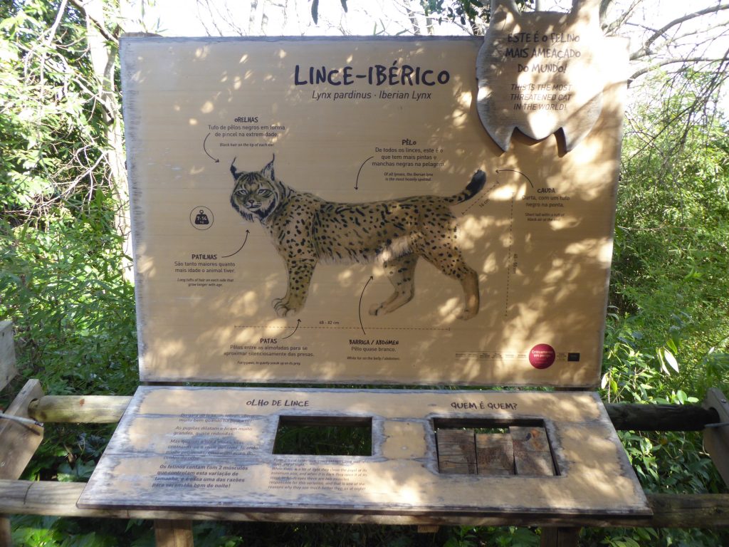 Educational panel about the Iberian lynx at the Lisbon Zoo’s Iberian Lynx Reserve