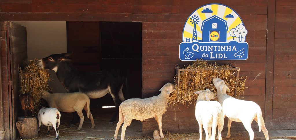 Children’s Farm at Lisbon Zoo with donkeys and sheep eating hay