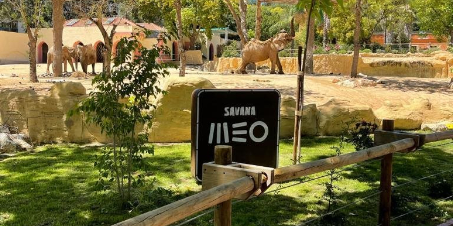 View of the MEO Savannah habitat with African elephants at Lisbon Zoo